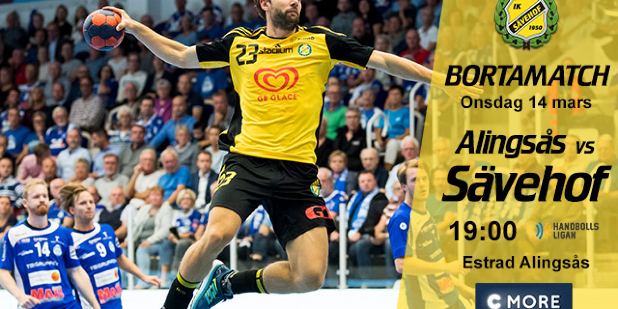 180314_alingsas_borta_640