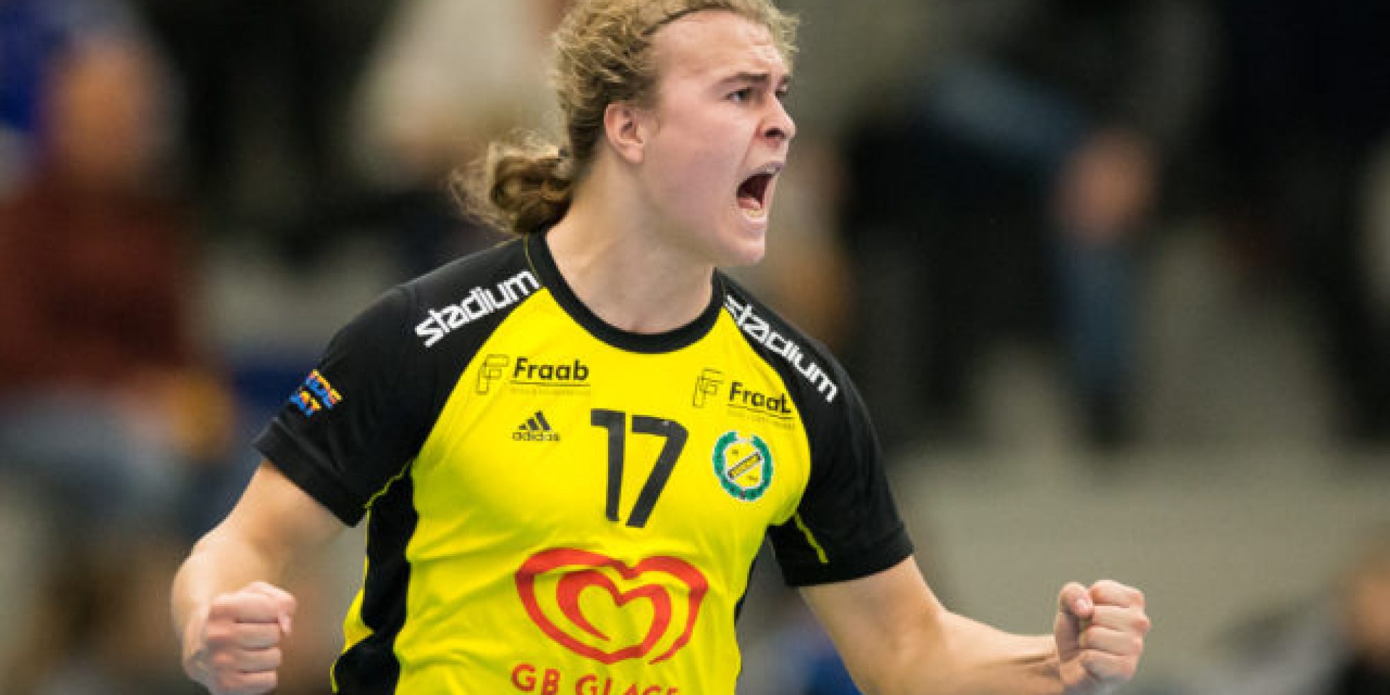 Handboll, Handbollsligan, nnered - Svehof