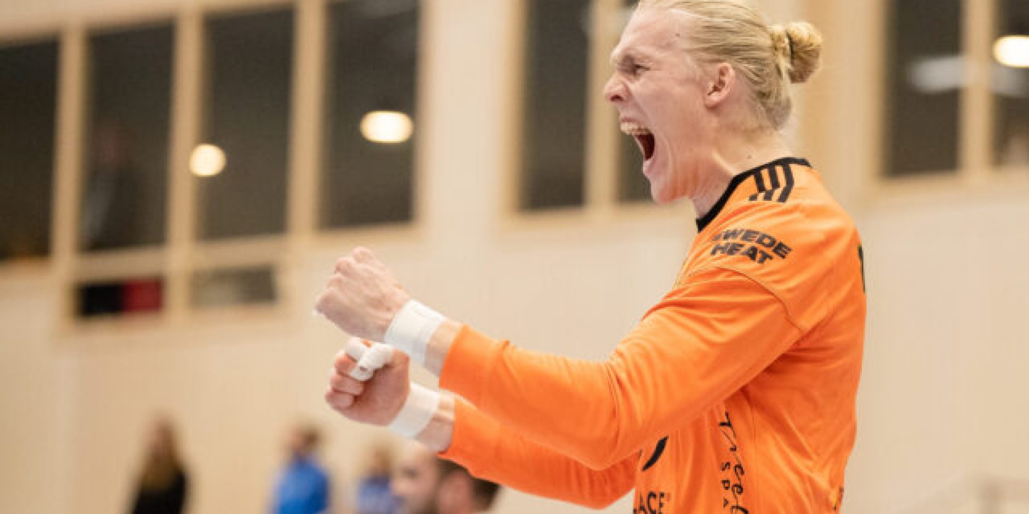 Handboll, Handbollsligan, Redbergslid - Sävehof