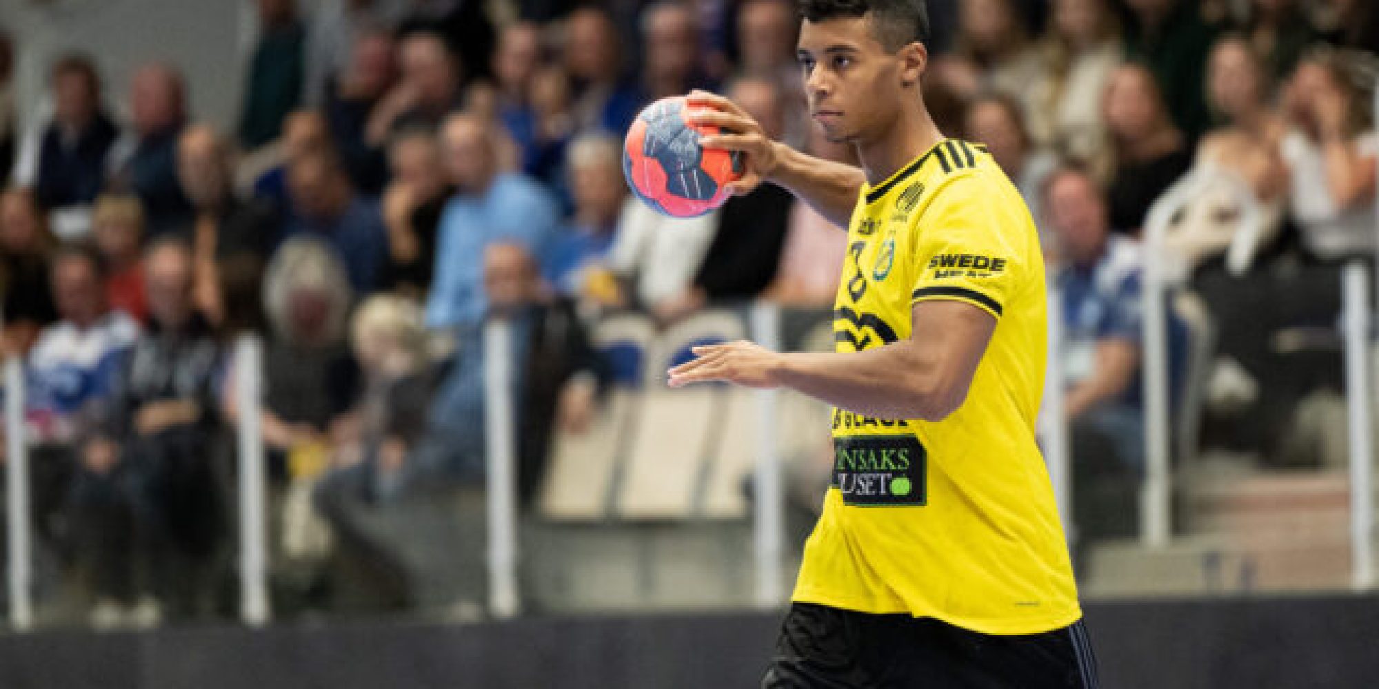 Handboll, Handbollsligan, Alingsås - Sävehof