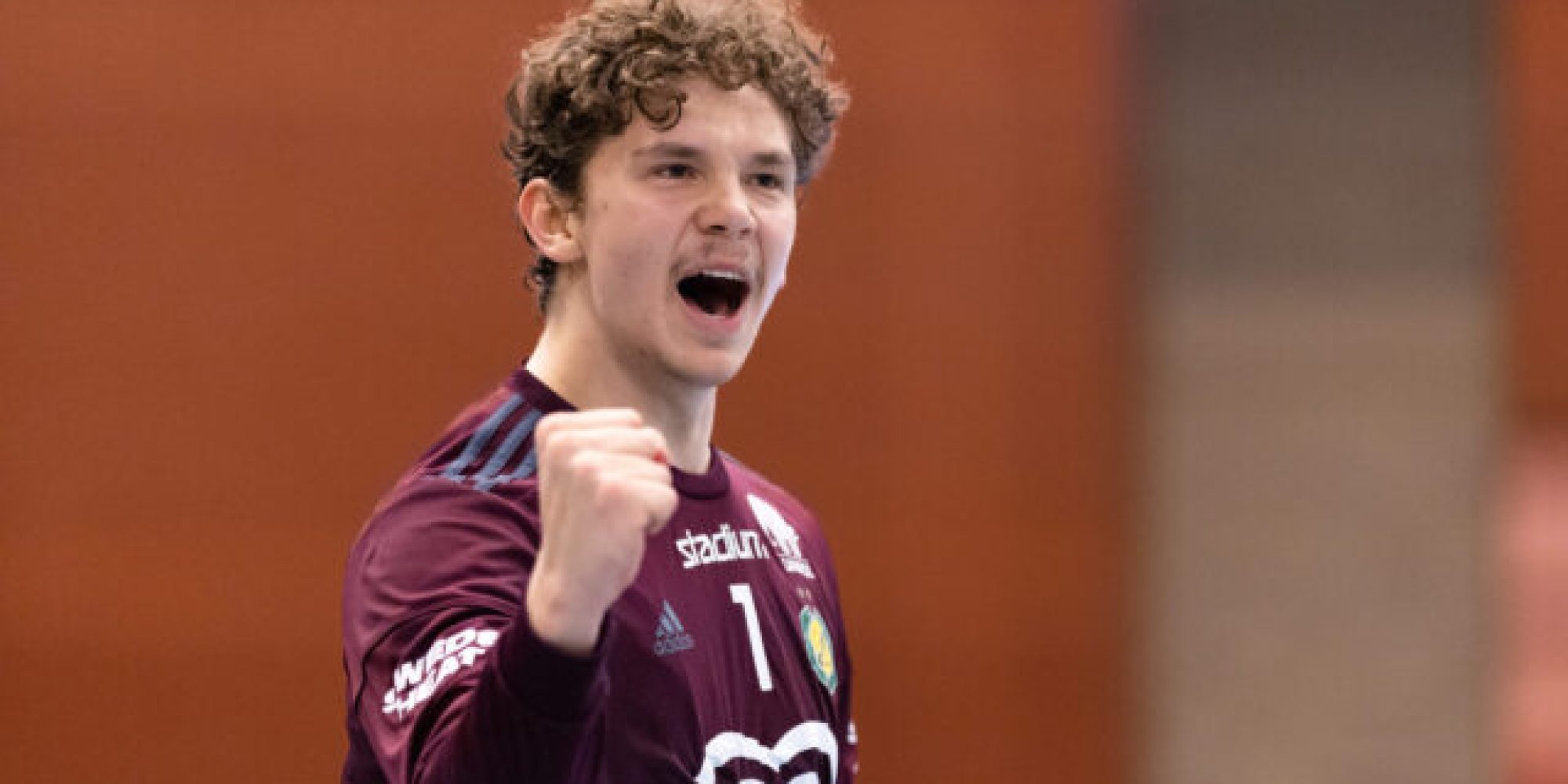 Handboll, Handbollsligan, Redbergslid - Sävehof