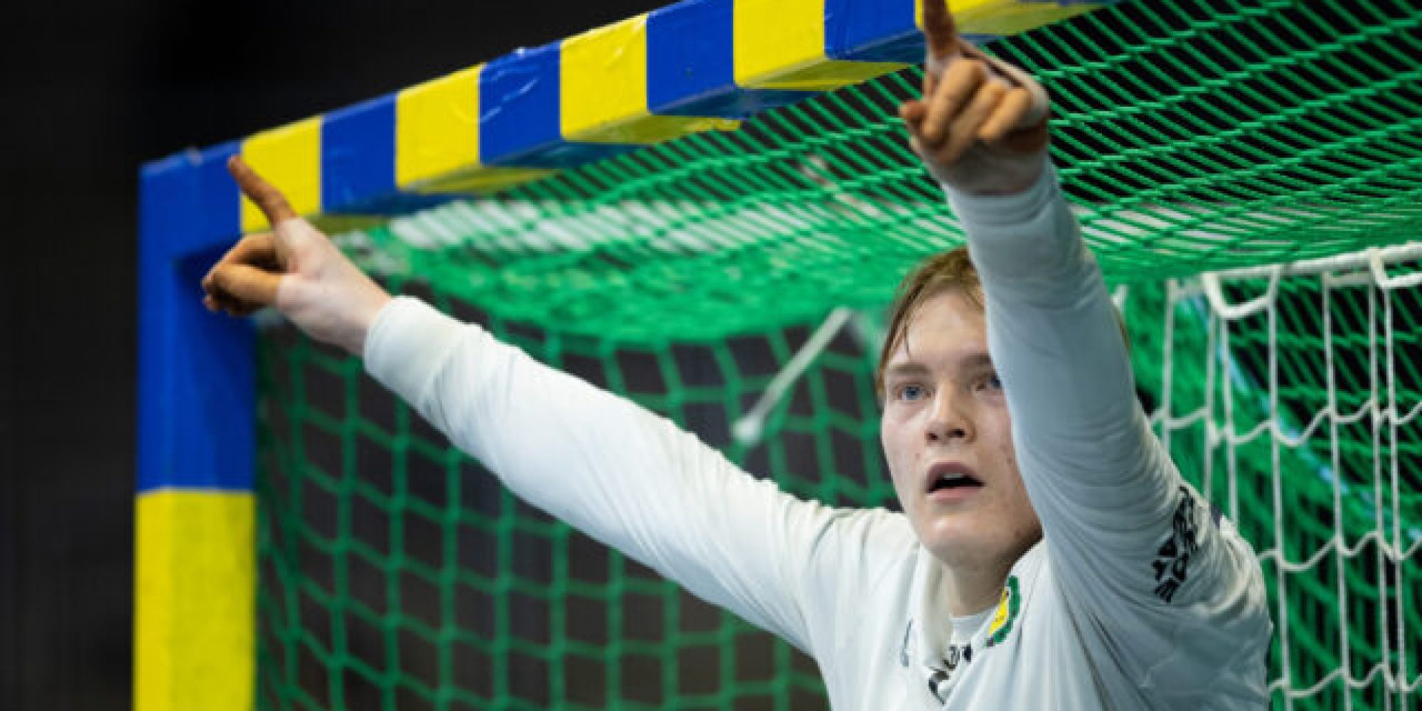 Handboll, Handbollsligan, Sävehof - Alingsås