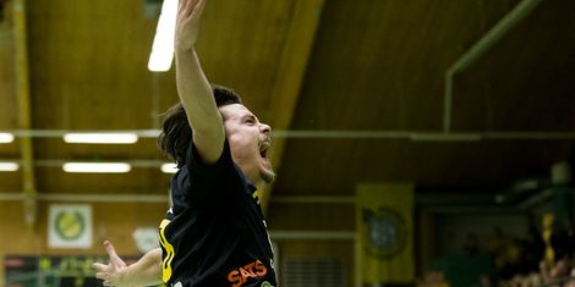 Handboll, Elitserien,  Svehof - Hammarby